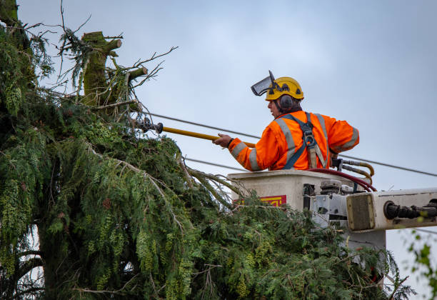 Best Utility Line Clearance  in Childersburg, AL